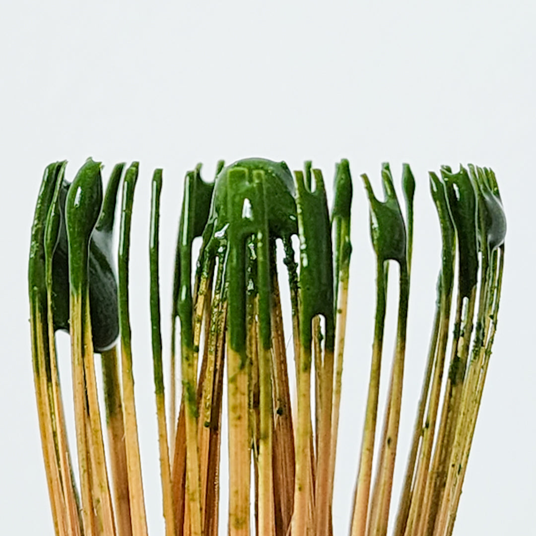 Detailed view of a bamboo matcha whisk (chasen), natural bristles for authentic Japanese matcha preparation