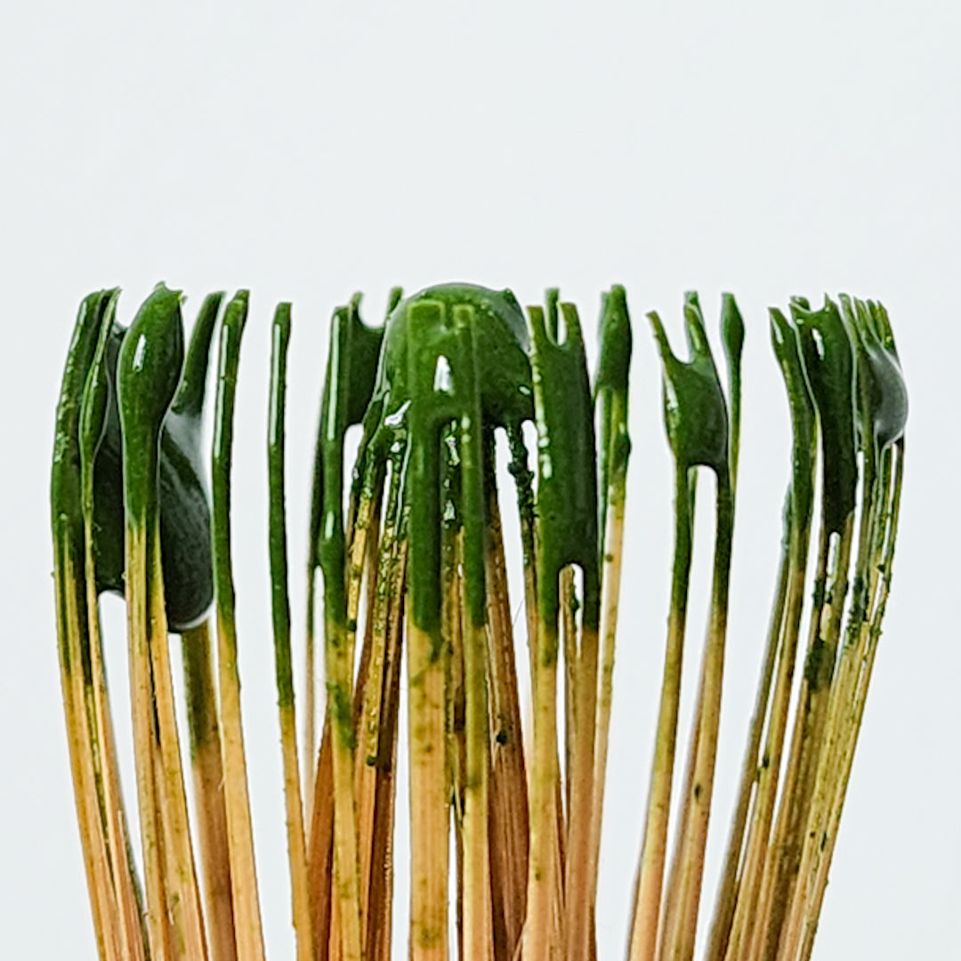 Chasen 茶筅 - Japanese Bamboo Whisk for Tea Ceremony