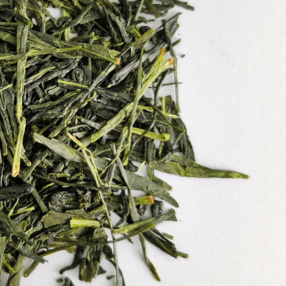 Best Japanese Sencha green tea with fresh, grassy, and full of antioxidants for a healthy and refreshing brew