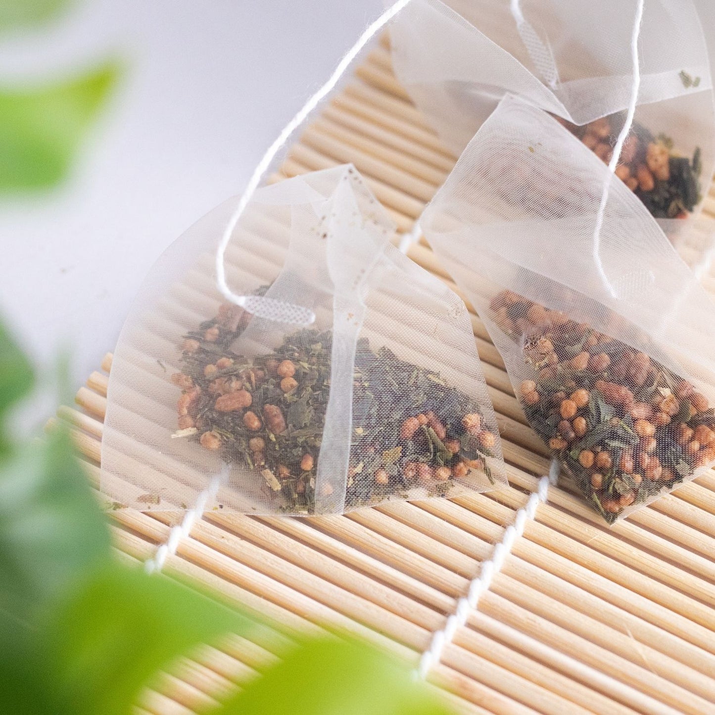 Genmaicha Teabags